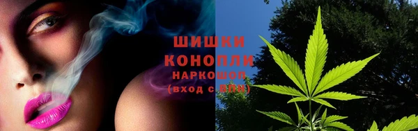 индика Горнозаводск