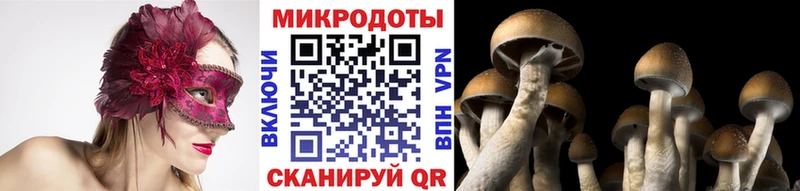 Псилоцибиновые грибы MAGIC MUSHROOMS  где можно купить   Белогорск 